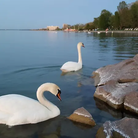 Tuerkiz Wellness شقة