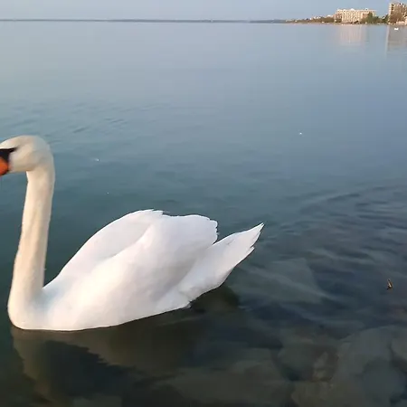 Tuerkiz Wellness شقة *