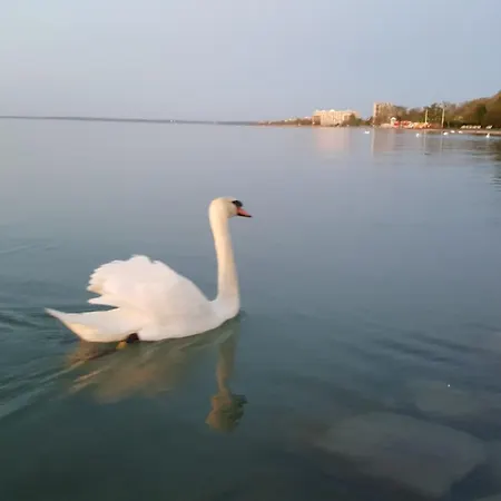 Tuerkiz Wellness شقة